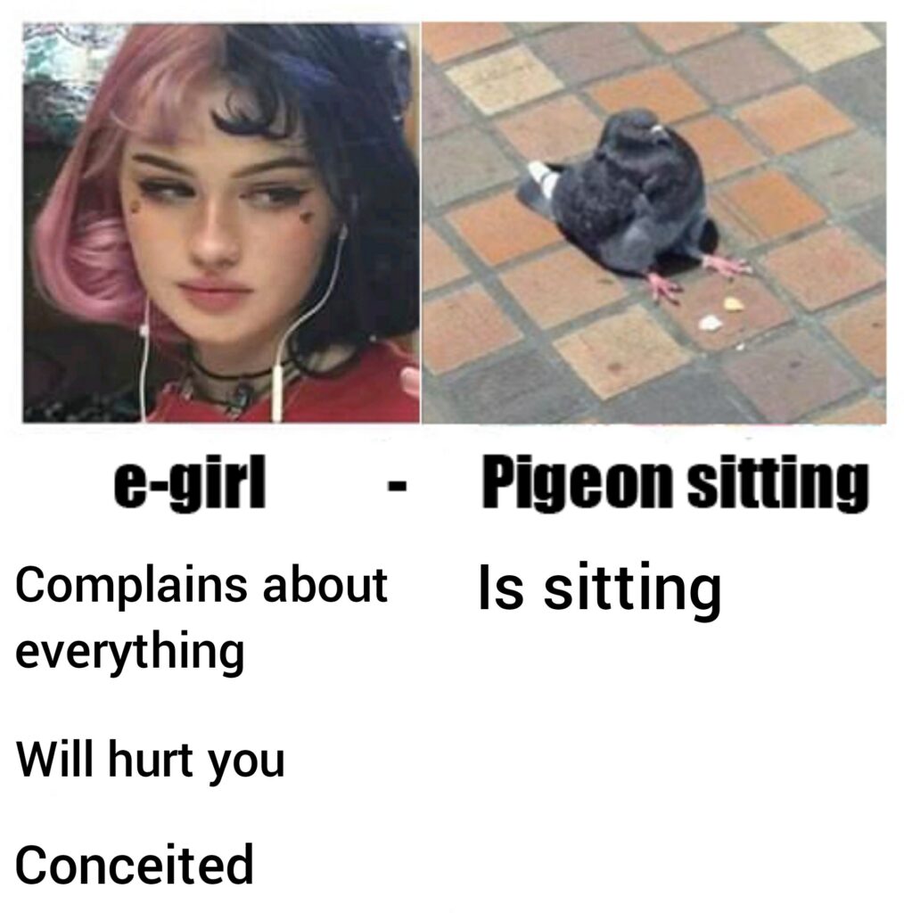 e-girl, egirl, pigeon sitting meme