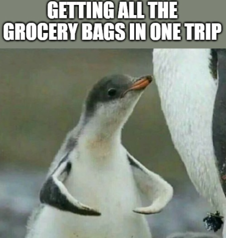 Getting All Grocery bags in one trip, strong baby penguin meme