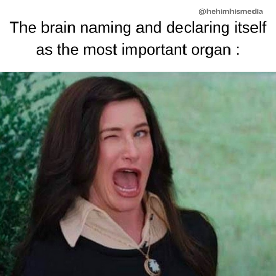 brain naming itself winking meme