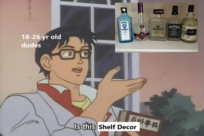 Is this Shelf decor? meme